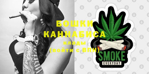экстази Ельня