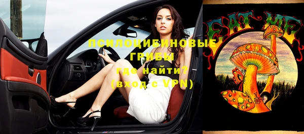 экстази Ельня