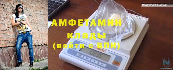 экстази Ельня