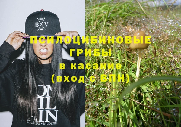 экстази Ельня